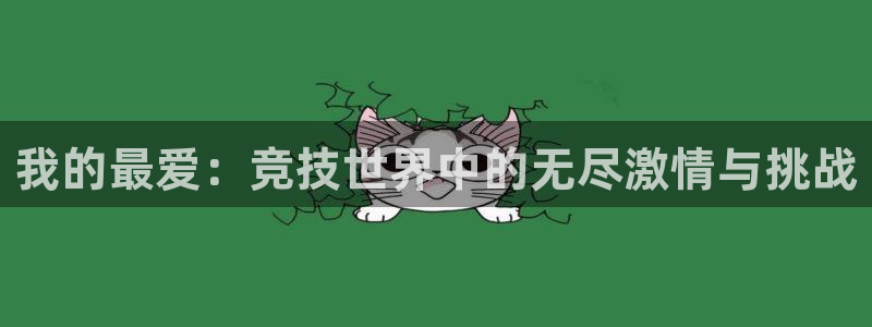 J9官方正版app神州：我的最爱：竞技世界中的无尽激情与挑战