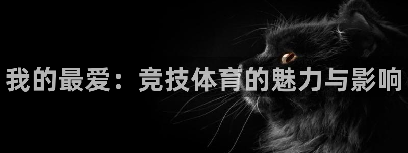 J9官网下载娱乐：我的最爱：竞技体育的魅力与影响
