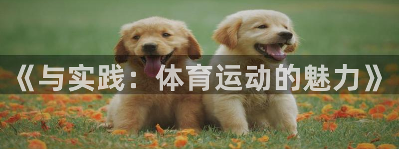 J9官网下载平台注册要钱吗安全吗：《与实践：体育运动