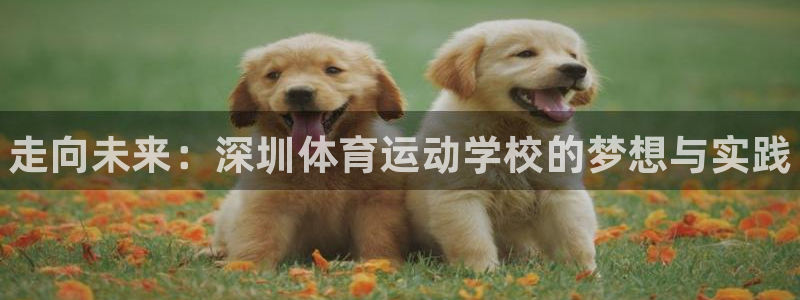 注册J9官方正版app：走向未来：深圳体育运动学校的