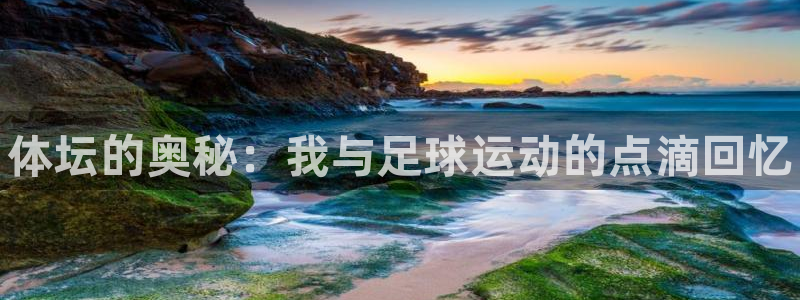 J9官网下载官方客服电话：体坛的奥秘：我与足球运动的