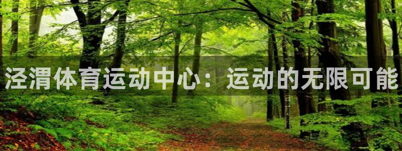 J9官方正版app科技：泾渭体育运动中心：运动的无限