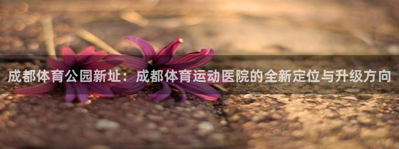 J9官方正版app娱乐网站：成都体育公园新址：成都体