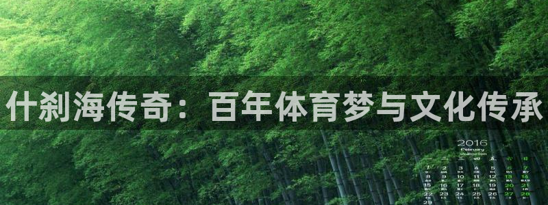 J9官方正版app娱乐40996：什刹海传奇：百年体