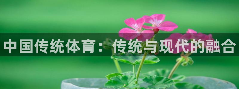 J9官网下载招商电话号码查询：中国传统体育：传统与现