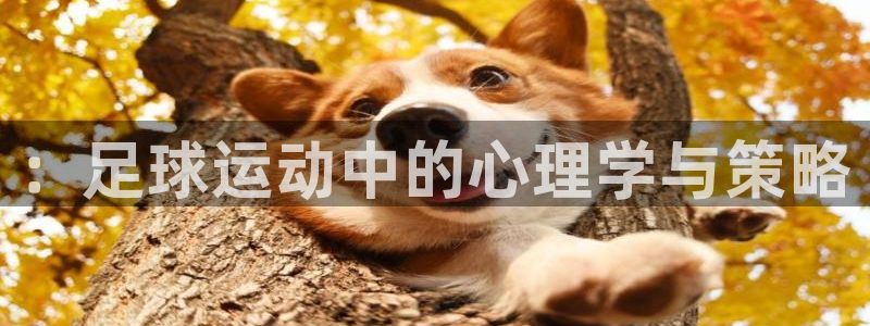 J9官网下载招商电话是多少：：足球运动中的心理学与策