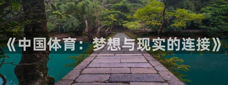 J9官网下载平台是正规平台吗：《中国体育：梦想与现实