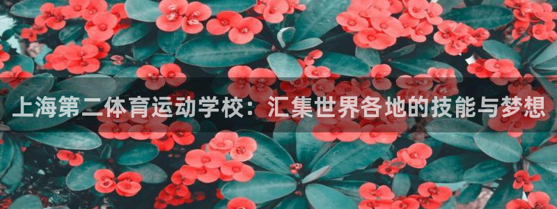 J9官网下载：上海第二体育运动学校：汇集世界各地的技